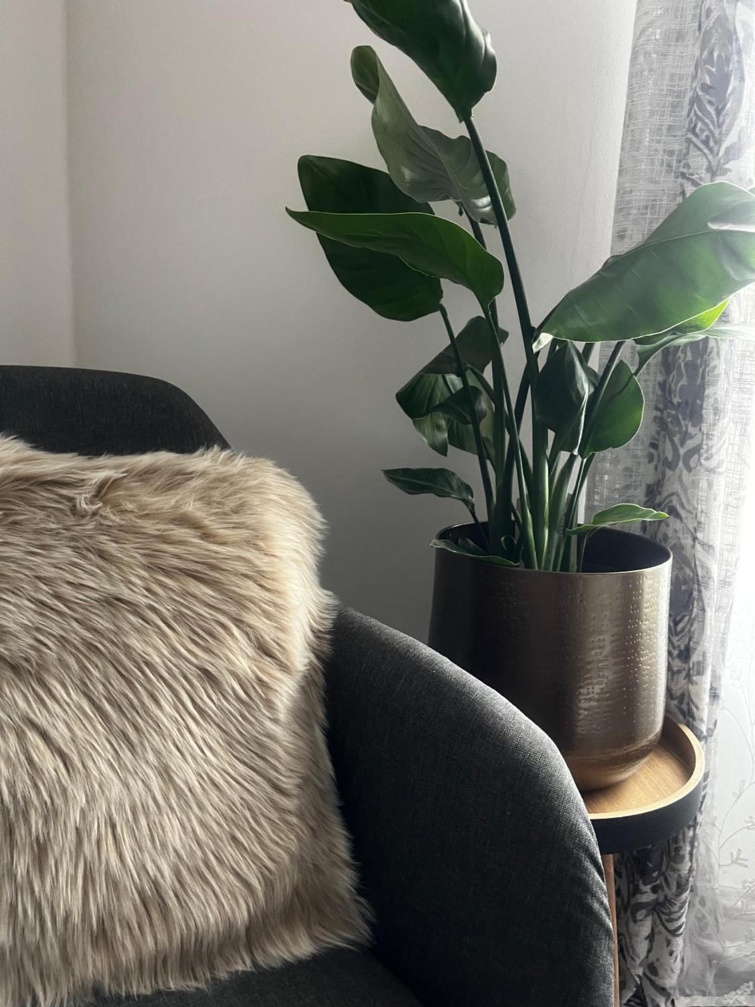 Oparno 38 Apartman Kültér fotó